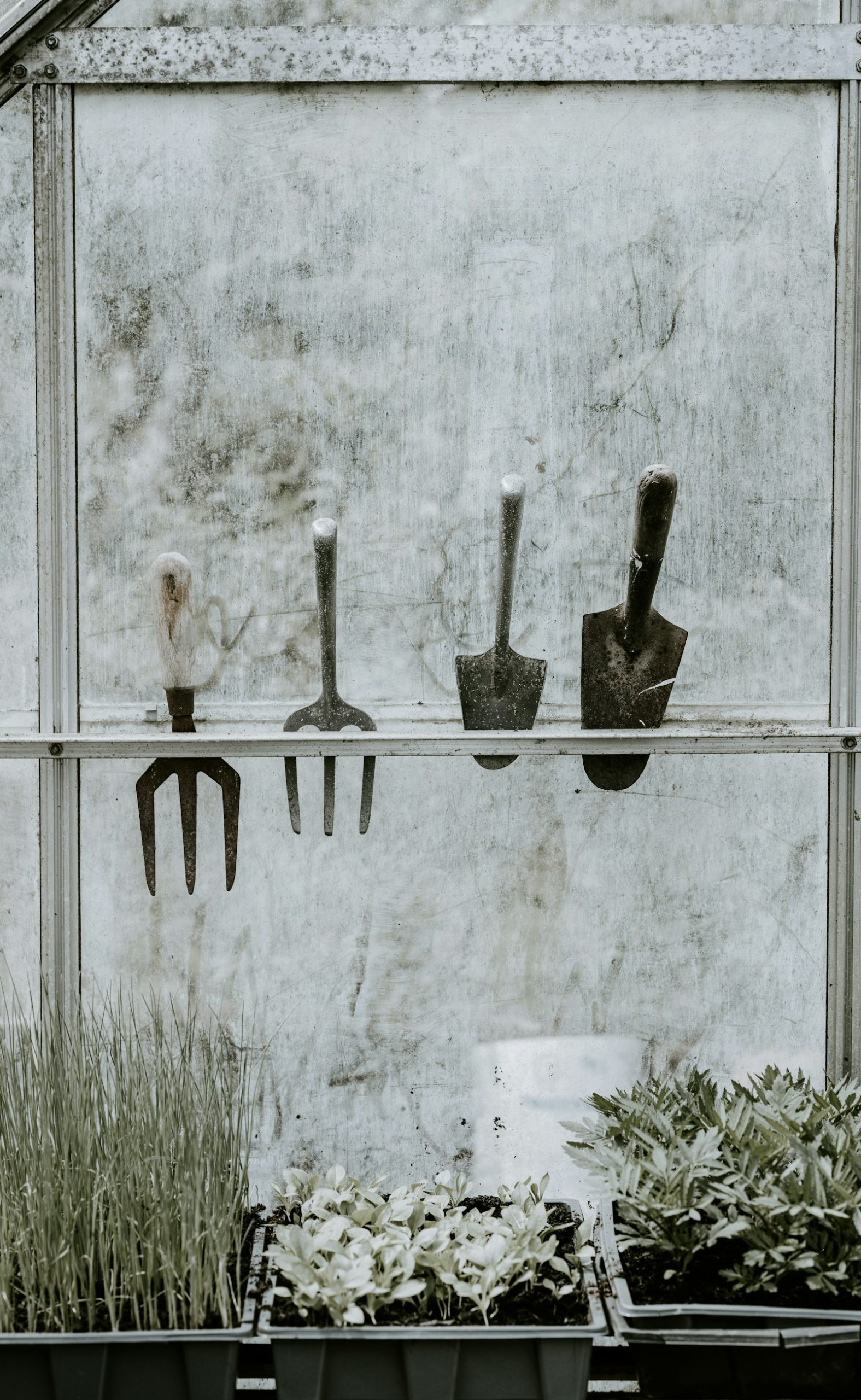 Four hand garden tools hanging neatly on a rack