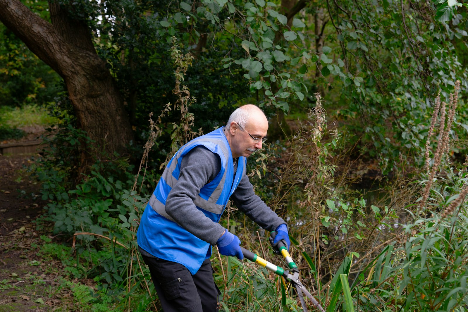 Gardener trimming a green bush with hand pruning shears
