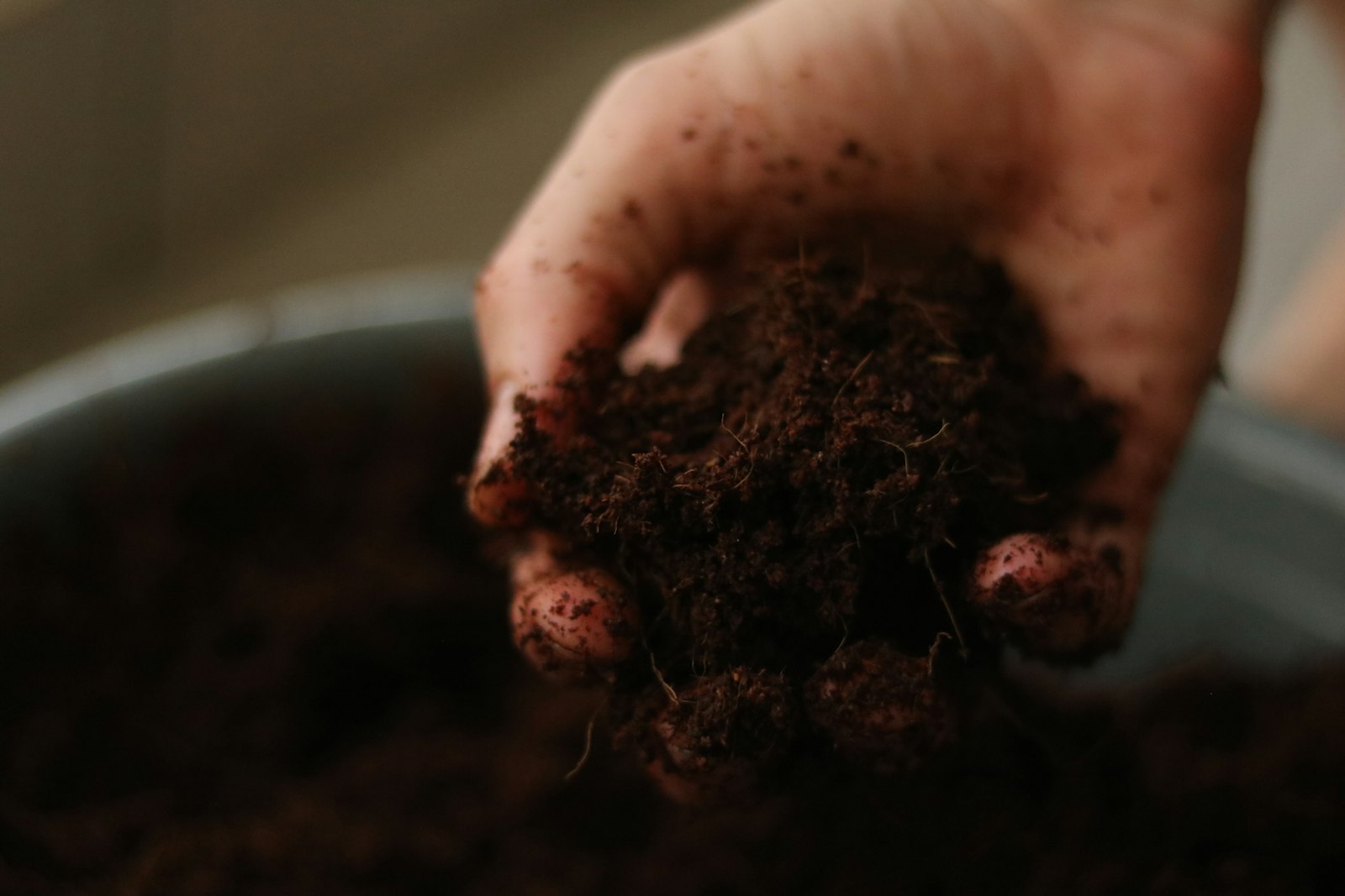 Hand holding a handful of dark, crumbly compost soil
